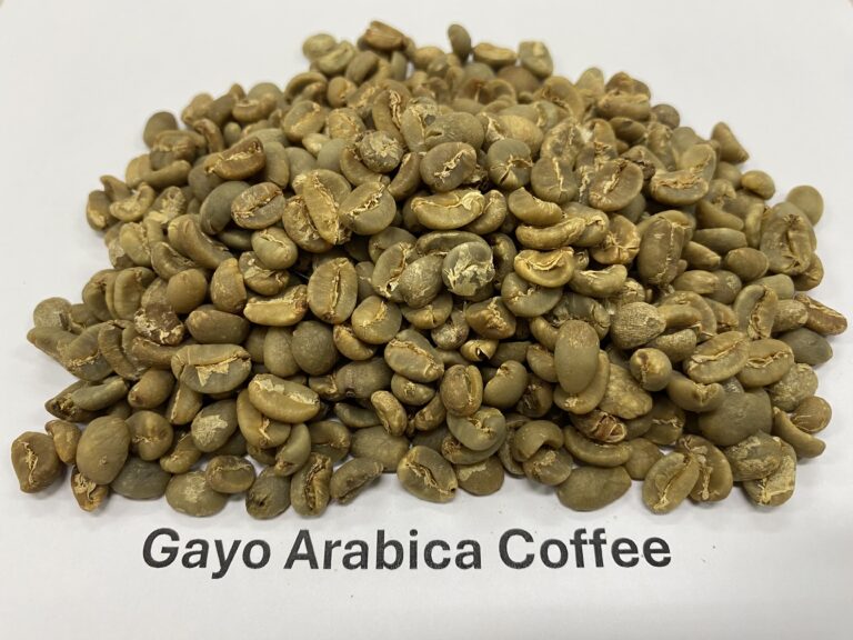Gayo Arabica Coffee
