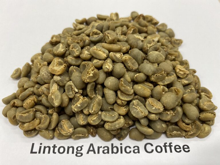Lintong Arabica coffee