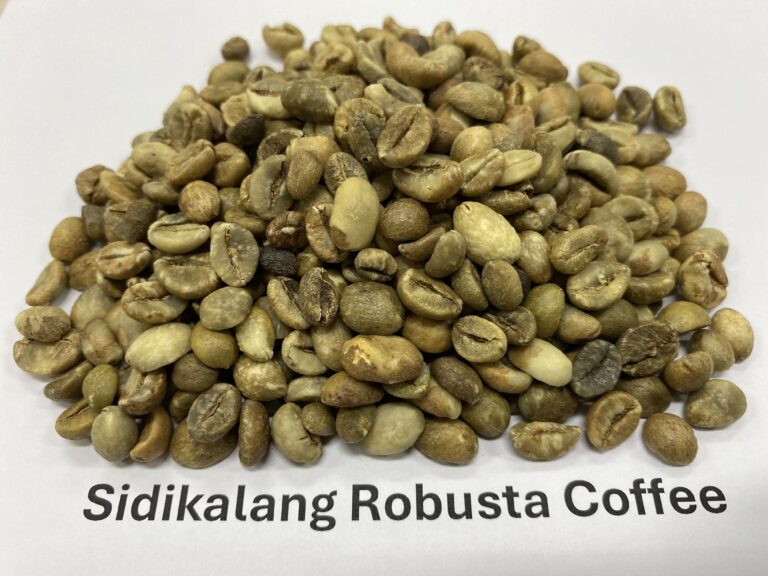 Sidikalang Robusta