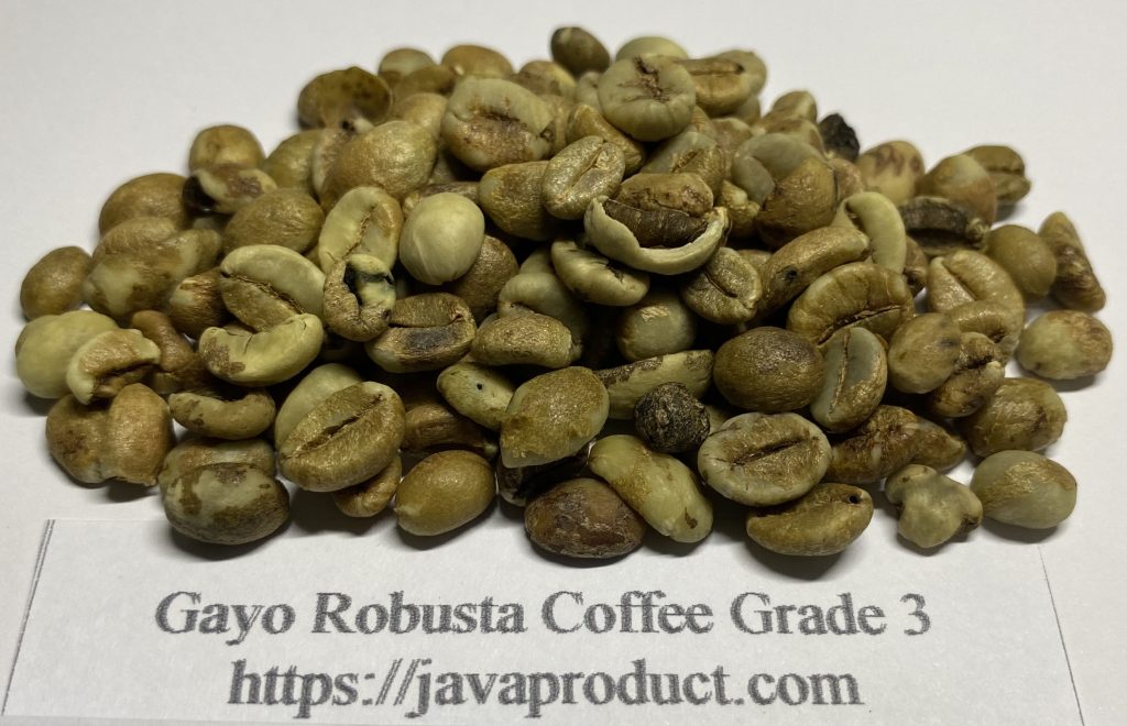 Gayo Robusta Coffee Grade 3